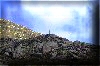 foto (21)